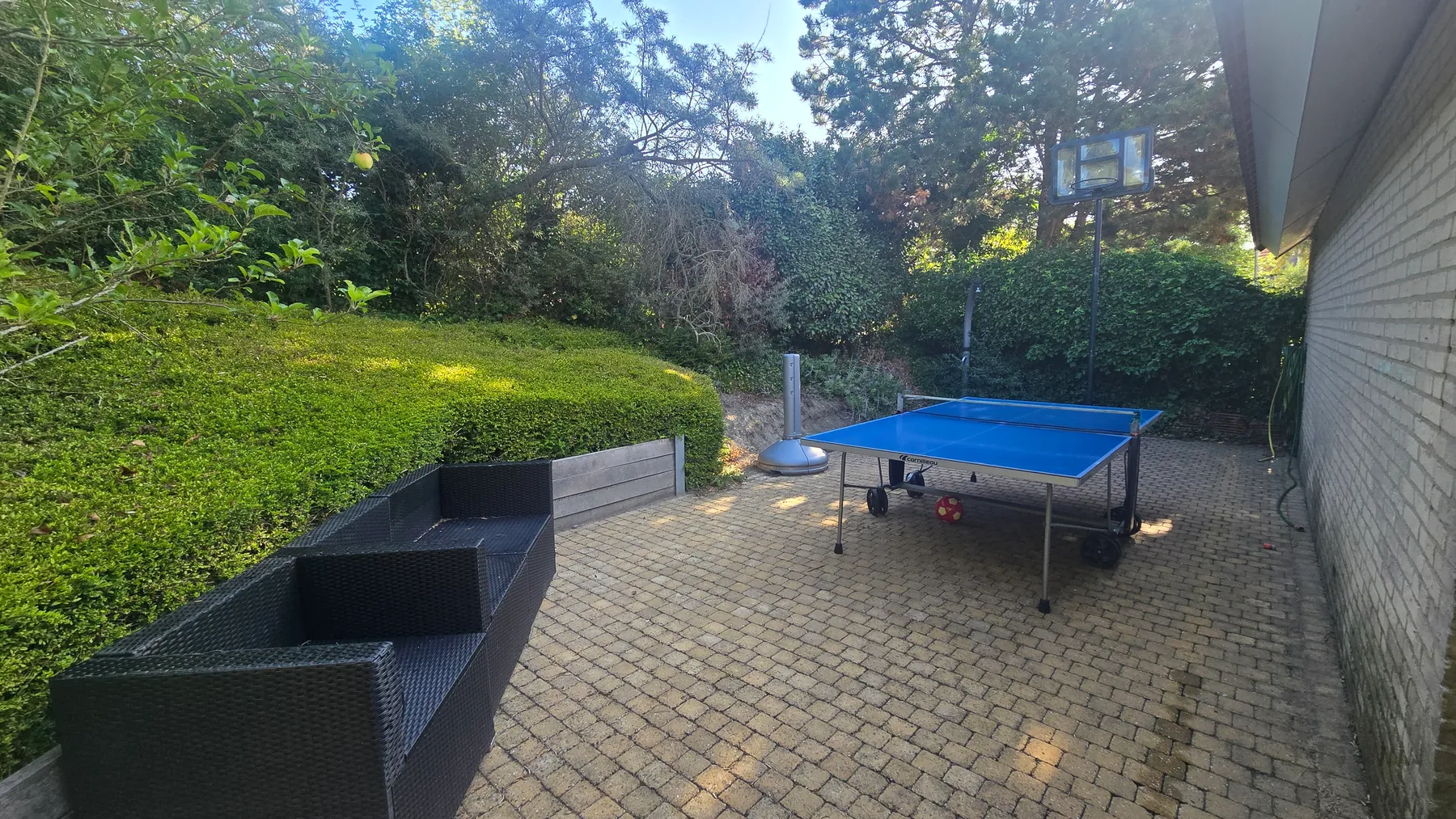 Platz hinter dem Haus mit Basketballkorb, Tischtennisplatte und Sitzgruppe, ringsum von Hecken eingefasst